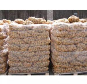 Wholesale packing: Poland Potatoes for Export, Fresh Potato for Sale