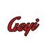 Shenzhen Geyi Sporting Goods Co.,Ltd Company Logo