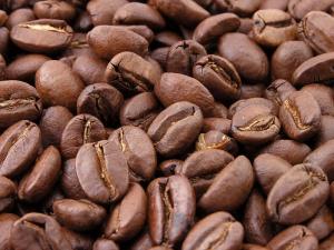 Wholesale Coffee Bean Coffee Bean Manufacturers Suppliers Ec21