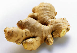 Wholesale gingerols: Ginger Root Extract
