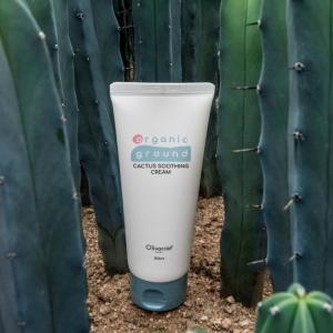 Wholesale oil plant: Cactus Soothing Cream
