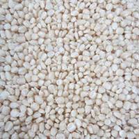 Sell White Maize Corn for Human Consumption