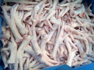 Wholesale frozen chicken: Frozen Chicken Feet Paw for Sell