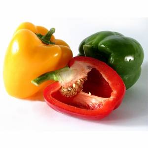 Wholesale spice: Fresh Bell Pepper / Capsicum