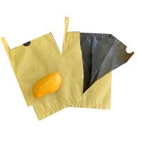 Sell Double Layers Mango Fruit Protection Bags UV Preventing Paper Cover Bag