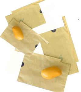 Wholesale paper cover: Insect Prevent Mango Cover Paper Bag Waxed Fruit Protection Bag