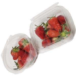 Wholesale covering top: Small Plastic Clear Food Box Container Disposable Clamshell Packaging