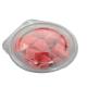 Hingled Lid Clear Packaging Food Container Plastic Food To Go Box