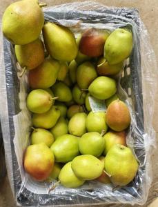Wholesale re: Red Fragrant Pear/Fresh Friut