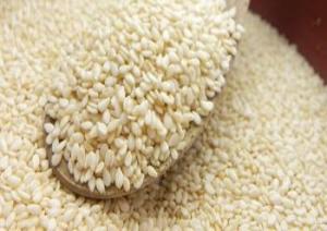 Wholesale non woven bags: High Quality White Hulled Sesame Seeds