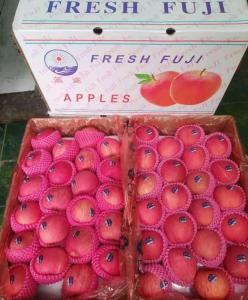 Wholesale evening bags: Fresh Apple  Fruit Fuji Apple