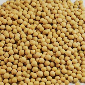 Wholesale language: Food Grade Dry Yellow Soybean Seed Non Gmo