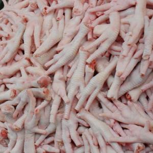 Wholesale frozen full chickens: APPROVED! Processed Frozen Chicken Feet and Paws