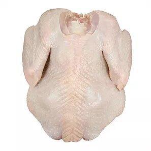 Wholesale chicken breast fillet: Frozen Whole Chicken (700-2400g)