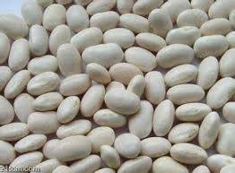 Wholesale brand hand bag: White Kidney Beans with High Quality for Sale