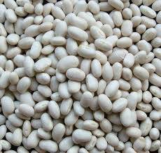 Wholesale shorts: White Kidney Beans