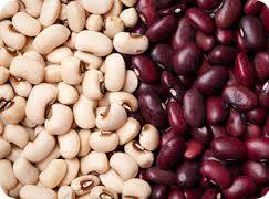 Wholesale long grain: Kidney Beans,Purple Speckled Kidney Beans