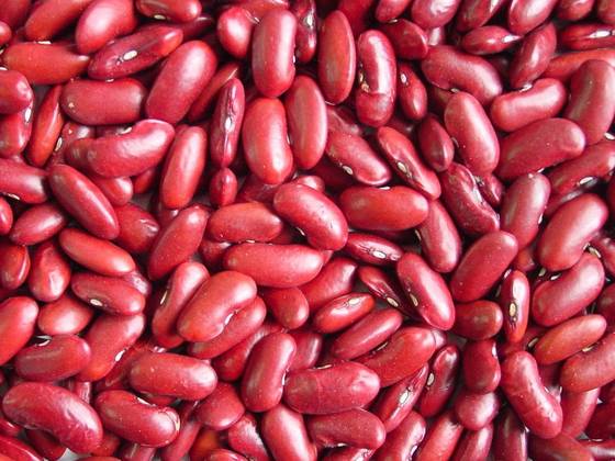 Sell RED KIDNEY BEANS / WHITE KIDNEY BEANS(id:24022847) - EC21