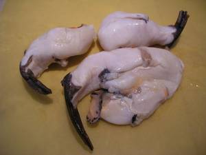 Wholesale conch: Frozen Conch Meat / Frozen Geoduck / Frozen Escargots