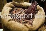 Wholesale high quality: Raw Cocoa Beans