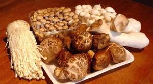 Wholesale mushrooms: Mushrooms / Truffles / Spores