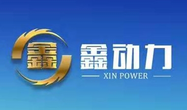 Hebei Xindongli New Energy Technology Co.,Ltd Company Logo