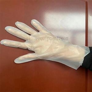 Wholesale pe gloves: TPE Gloves    Disposable Gloves Supplier    Fengwang Innovative Gloves