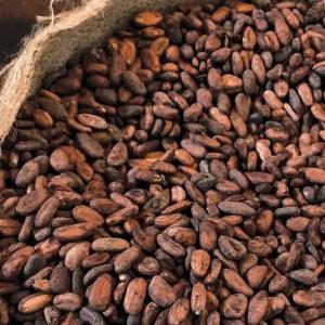 Wholesale Chocolate Ingredients: High Quality Cocoa Beans