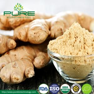 Wholesale ginger powder: Organic Ginger Powder