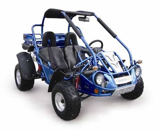 hammerhead 400cc dune buggy