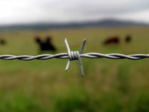 Wholesale barbed concertina wire: Barbed Wire