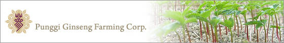 Punggi Ginseng Farming Corp.