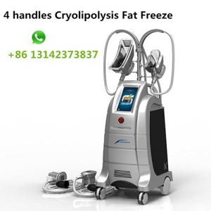 Wholesale cryolipolysis machine: 4 Handles Cryolipolysis Fat Freeze Slimming Machine Cryo Therapy Weight Loss Equipment Fat Reduction