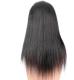 Free Shipping Brazilian Virgin Hair Natural Color Straight Human Hair Lace Front Wigs