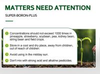 Liquid Boron Fertilizer Boron for Garden for Agriculture 5