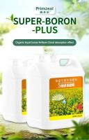 Liquid Boron Fertilizer Boron for Garden for Agriculture