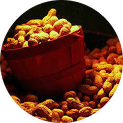 Wholesale almonds: Peanut / Nuts