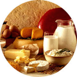 Wholesale dairy products: Dairy products
