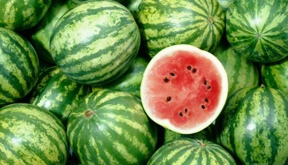 watermelon-cartons-exporters-watermelon-cartons-selling-leads-ec21