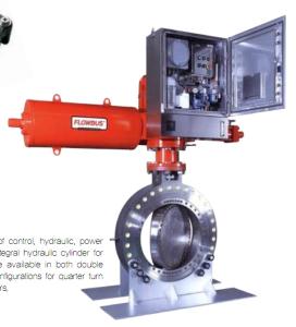 Wholesale hydraulic pumps: Hydraulic Actuator