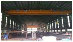 Wholesale used crane: Hoist Crane