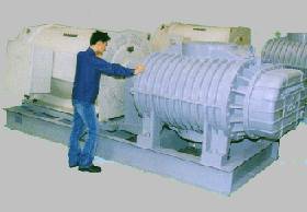 Wholesale type common: Rotary Blower