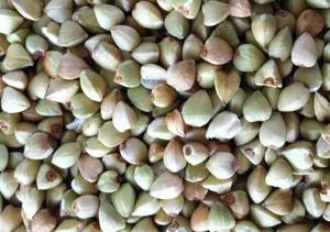Wholesale Buckwheat: Buckwheat Kernel