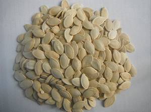 Wholesale pumpkin seed: Shine Skin Pumpkin Seeds