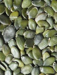 Wholesale oil seeds: GWS Pumpkin Seeds AA for Oil Production
