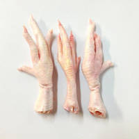 Grade A - Brazil Frozen Chicken Paws , Whole Chicken , Chicken Feet for Sale