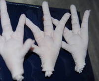 Alal Clean Grade A Chicken Feet / Frozen Chicken Paws