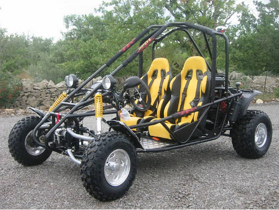 Diagram Red 250cc Racing Go Kart Buggy For Adult 2 Seats Shaft Wiring Diagram Mydiagramonline 