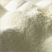 Wholesale Milk Powder: Skimmed Milk Powder , Full Cream Milk Powder