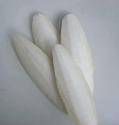 Wholesale cleaning product: CuttleBone (Cuttlefish Bone, Cuttle Bone, Sepia)
